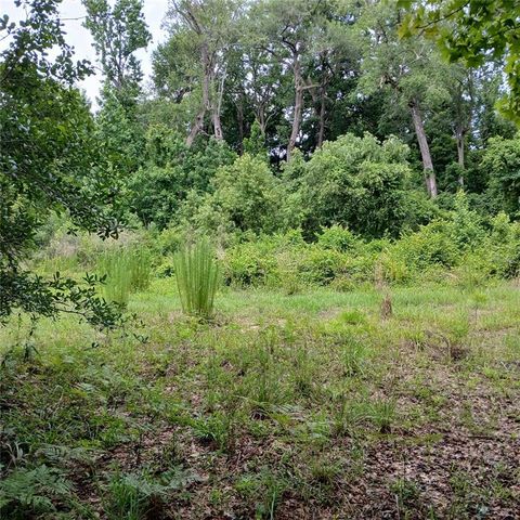 17151 NE 4TH LANE, Silver Springs, FL 34488