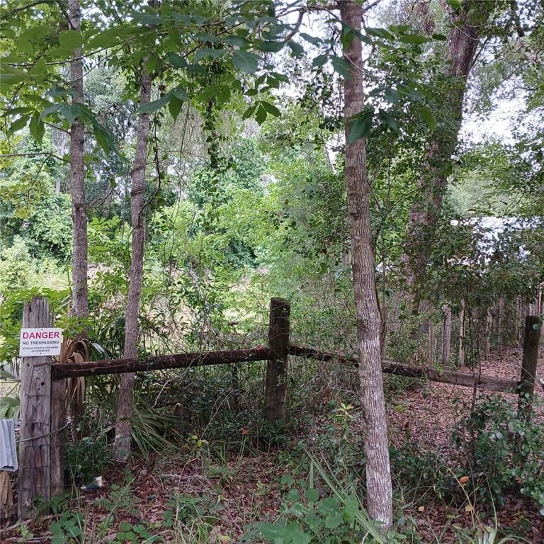 17151 NE 4TH LANE, Silver Springs, FL 34488