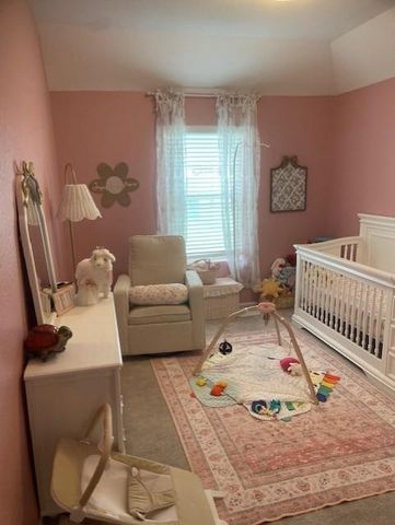 19911 Paros Island Drive, Hockley, TX 77447