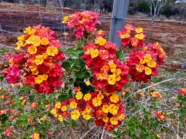 TBD Apache Tears, Horseshoe Bay, TX 78657