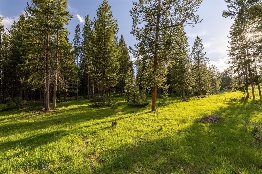 TBD Crown Butte, SPMC Lot 99, Big Sky, MT 59716 photo 11