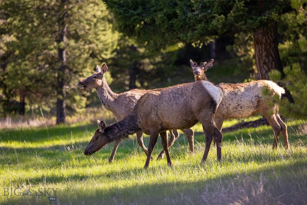 TBD Crown Butte, SPMC Lot 99, Big Sky, MT 59716 photo 12