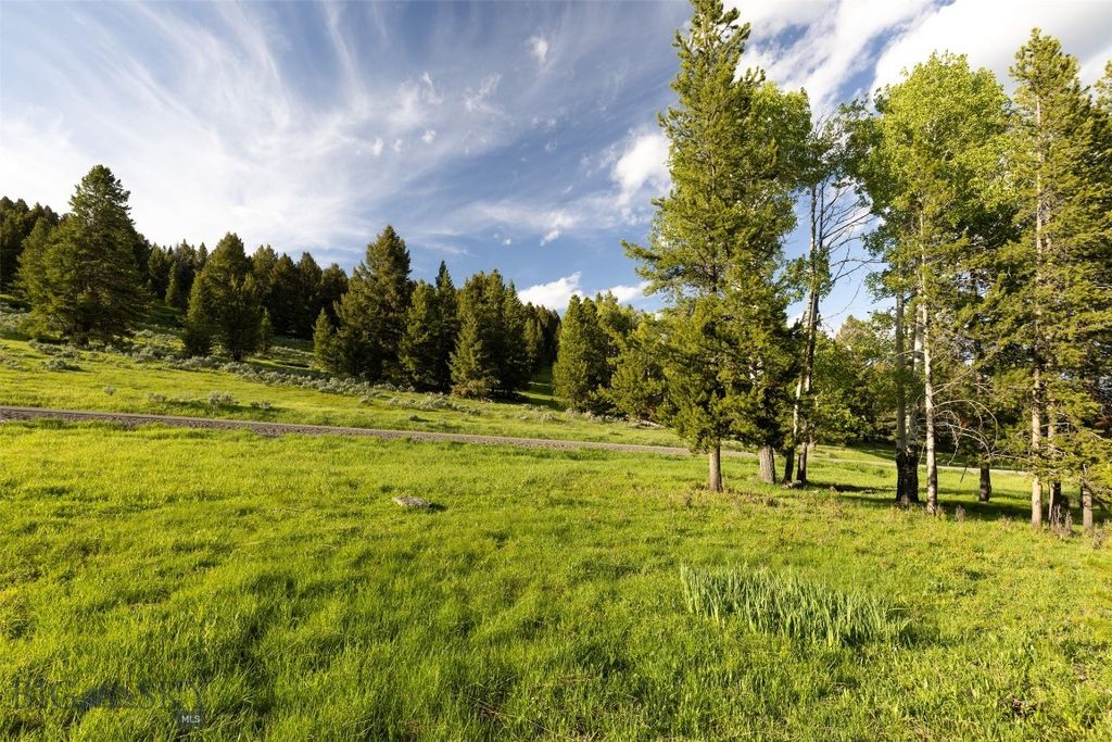TBD Crown Butte, SPMC Lot 99, Big Sky, MT 59716 photo 8
