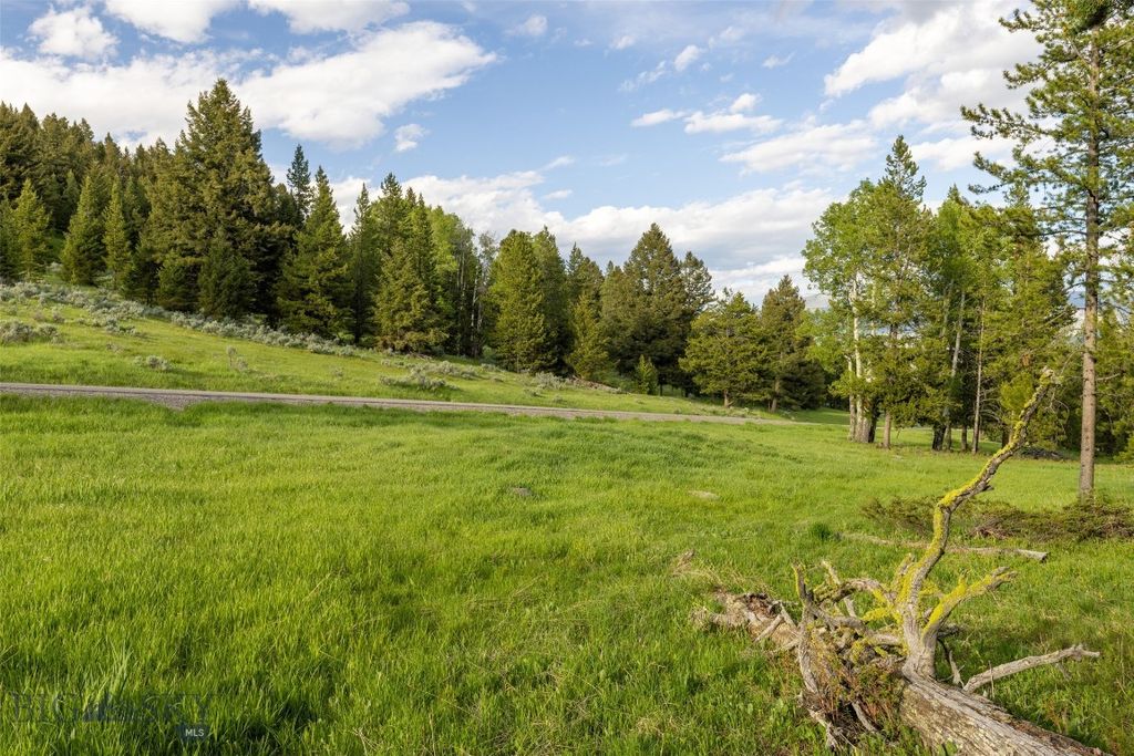 TBD Crown Butte, SPMC Lot 99, Big Sky, MT 59716 photo 9