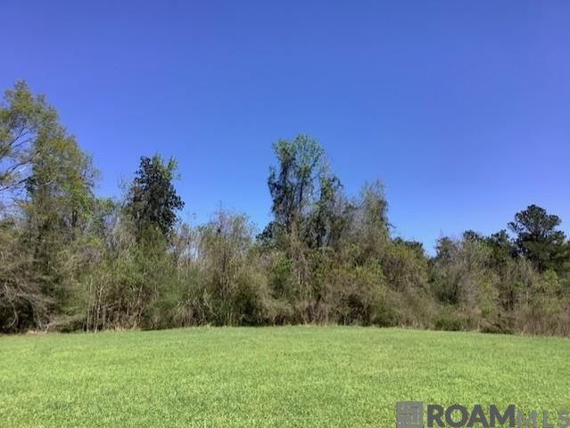 TBD Sims Rd, Denham Springs, LA 70706