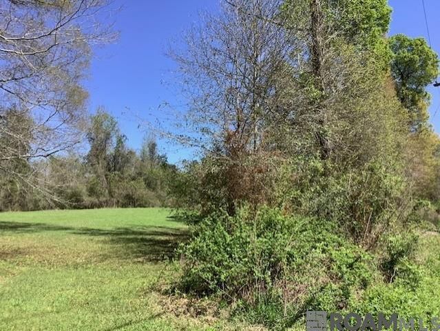 TBD Sims Rd, Denham Springs, LA 70706
