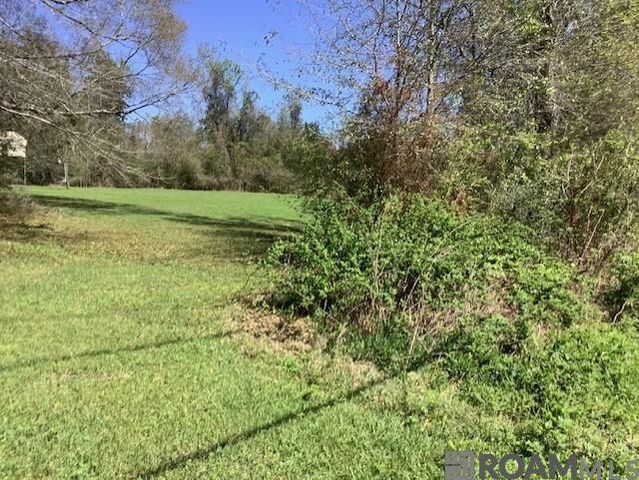 TBD Sims Rd, Denham Springs, LA 70706