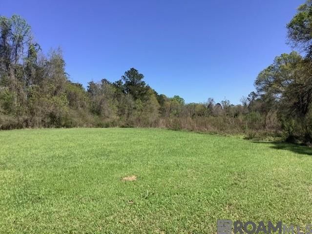 TBD Sims Rd, Denham Springs, LA 70706