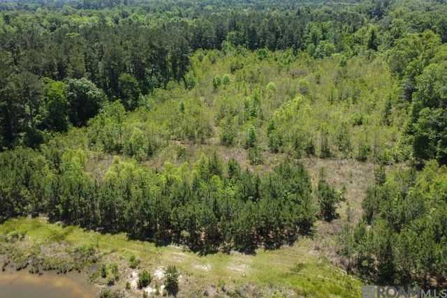 TBD Sims Rd, Denham Springs, LA 70706
