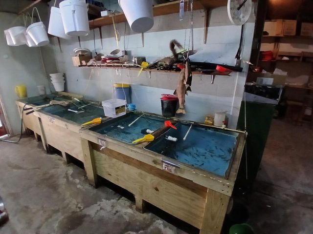 N10008 PARKWAY ROAD, Stephenson, WI 54114