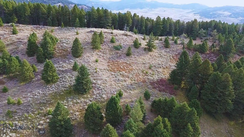 000 Chestnut Road, Bozeman, MT 59715 photo 10