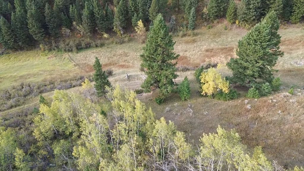 000 Chestnut Road, Bozeman, MT 59715 photo 17