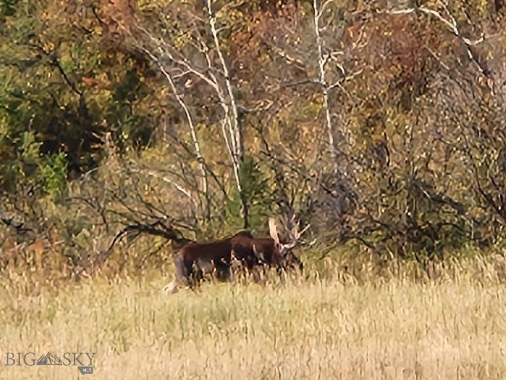 000 Chestnut Road, Bozeman, MT 59715 photo 22