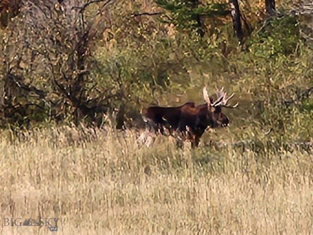 000 Chestnut Road, Bozeman, MT 59715 photo 23