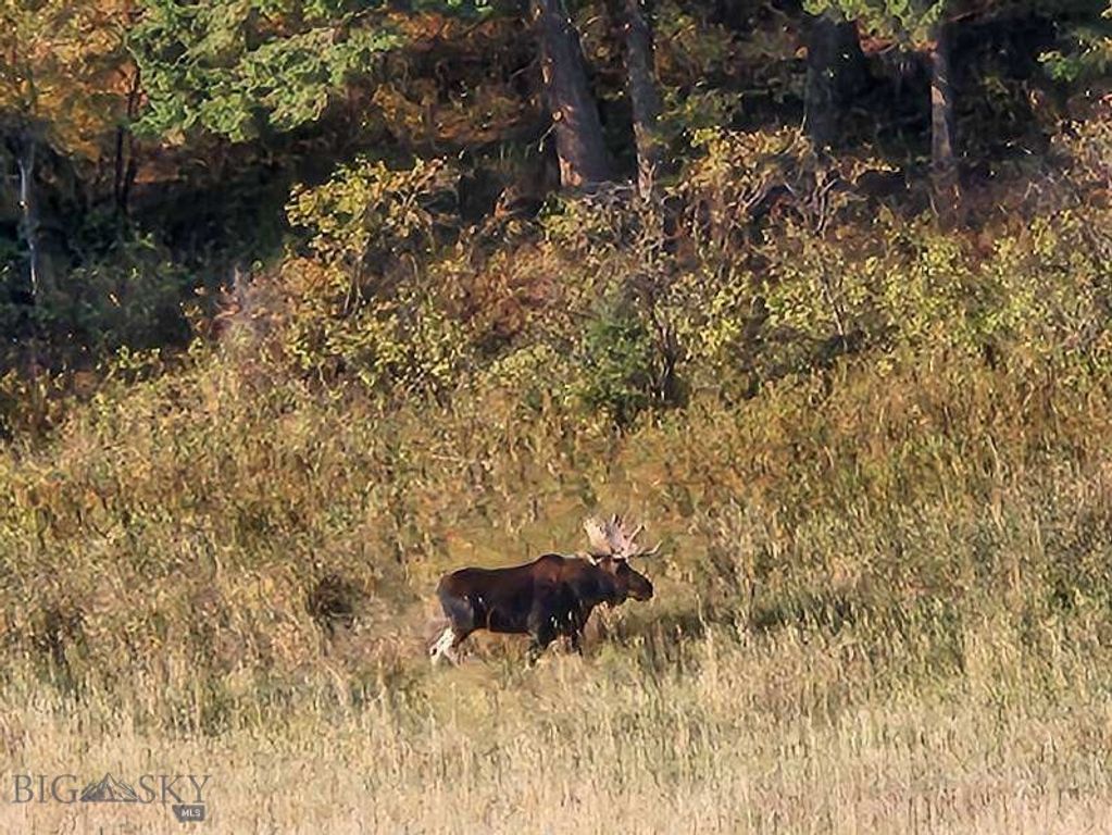 000 Chestnut Road, Bozeman, MT 59715 photo 41