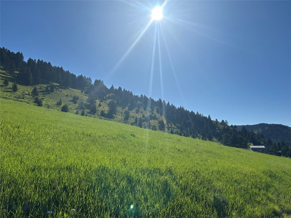 000 Chestnut Road, Bozeman, MT 59715 photo 5