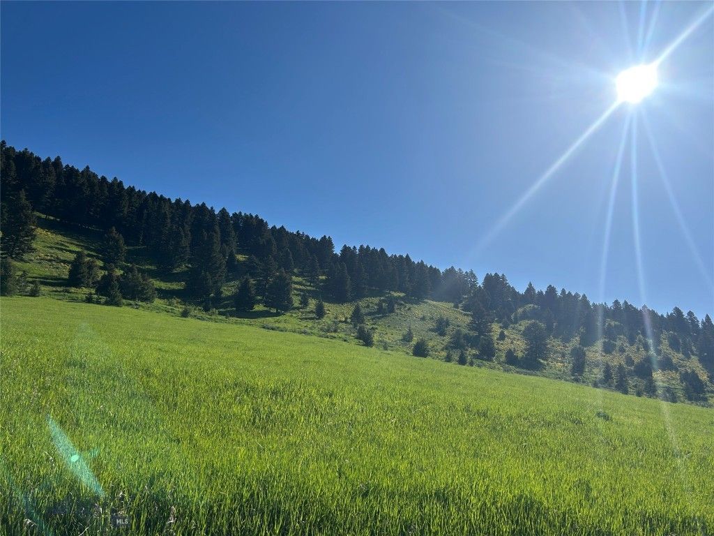 000 Chestnut Road, Bozeman, MT 59715 photo 6