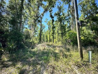 Tbd, Old Town, FL 32680