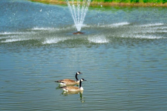 2110 Amanda Way, Hudson, WI 54016