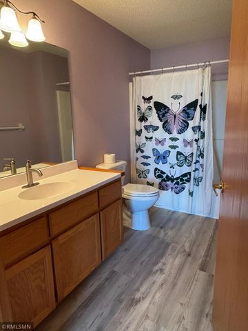 10102 Karston Avenue NE, Albertville, MN 55301