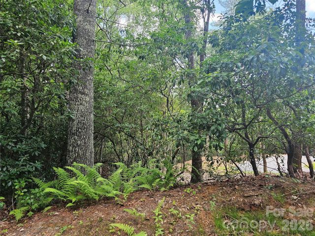 171 Duff Cove Road, Brevard, NC 28712