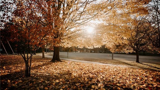 117 Mayson NE Avenue C, Atlanta, GA 30307