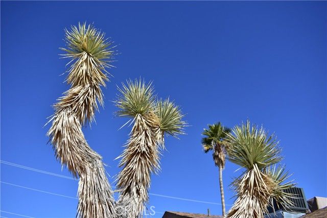 61611 Alta Loma Drive, Joshua Tree, CA 92252