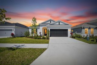 6196 HIDDEN BRANCH DRIVE, Apollo Beach, FL 33572