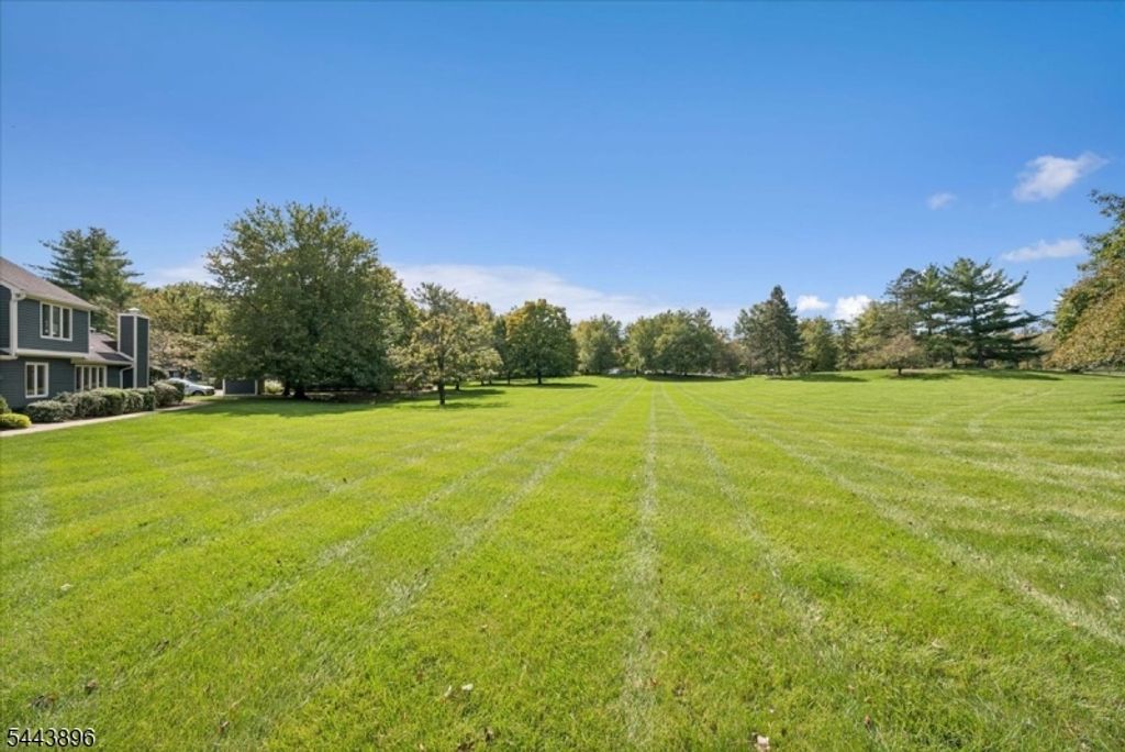 10 Village Dr, Bernards Twp., NJ 07920 — photo 3