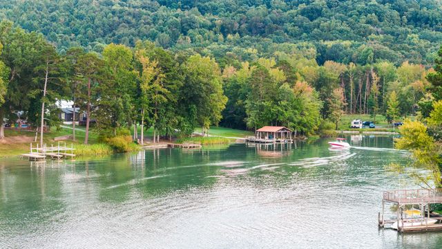 150 Ledford Lane, Decatur, TN 37322