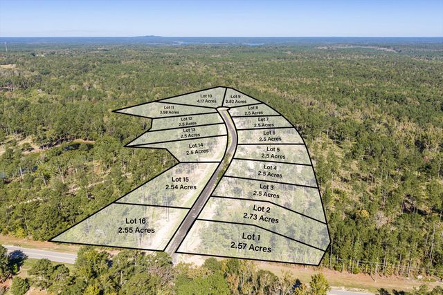 159 Beagle Chase Drive, Appling, GA 30802