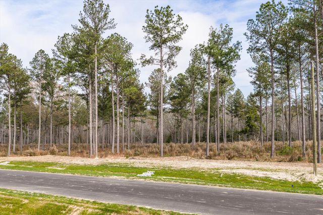 159 Beagle Chase Drive, Appling, GA 30802