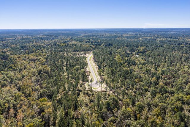 159 Beagle Chase Drive, Appling, GA 30802