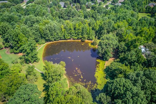 6560 Pond View Court, Clermont, GA 30527