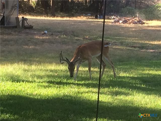 7511 N Lakeview Drive, Salado, TX 76571