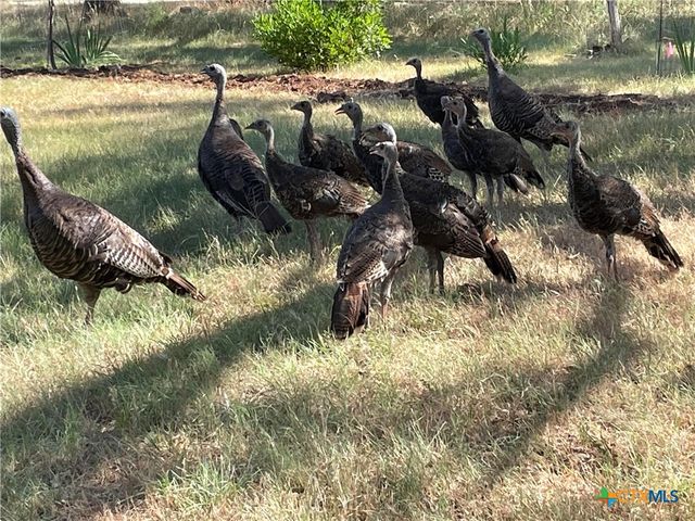 7511 N Lakeview Drive, Salado, TX 76571