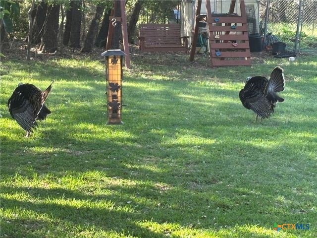 7511 N Lakeview Drive, Salado, TX 76571