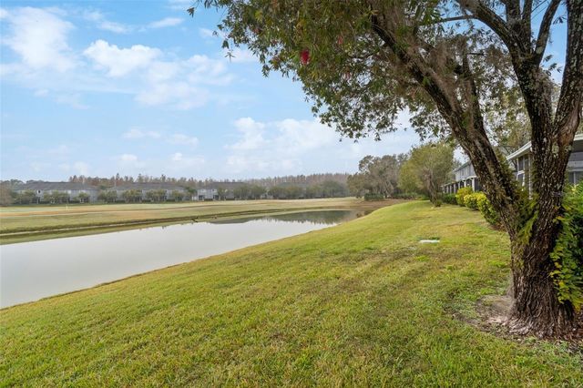 18214 PARADISE POINT DRIVE, Tampa, FL 33647