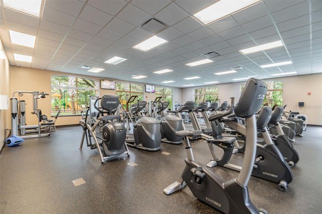 18214 PARADISE POINT DRIVE, Tampa, FL 33647