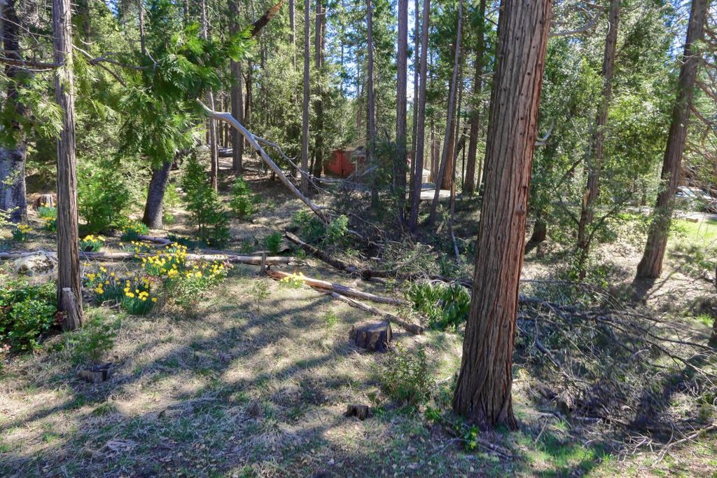 Image 31 of property listing at 2580 River Road, Wawona, CA 95389