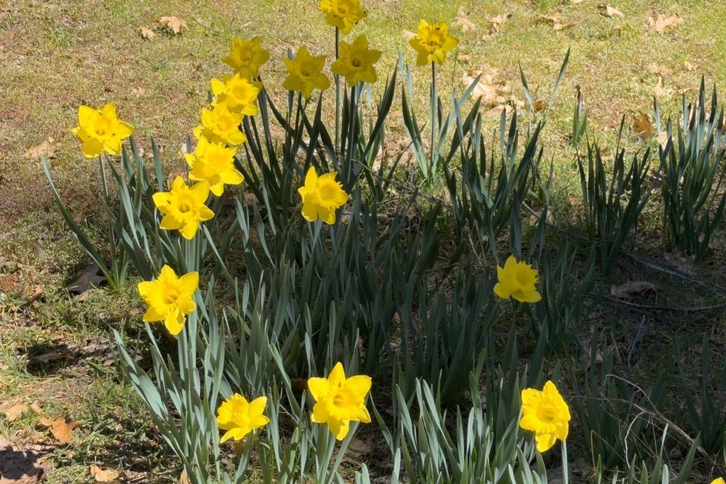 Image 35 of property listing at 2580 River Road, Wawona, CA 95389