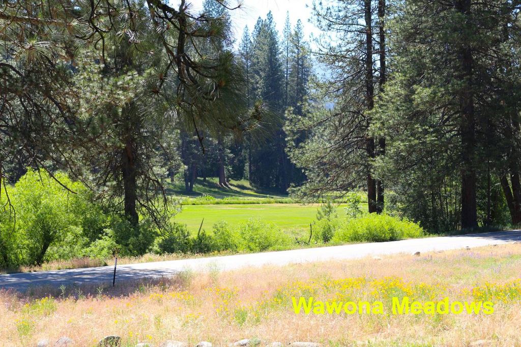 Image 41 of property listing at 2580 River Road, Wawona, CA 95389