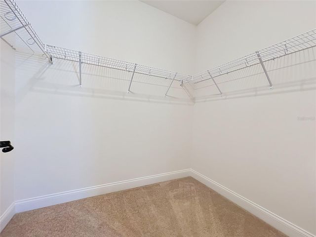 8409 VIVARO ISLE WAY, Windermere, FL 34786