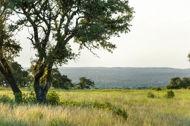 8577 Ranch Road 2766, Johnson City, TX 78636