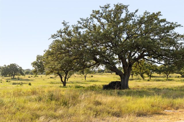 8577 Ranch Road 2766, Johnson City, TX 78636