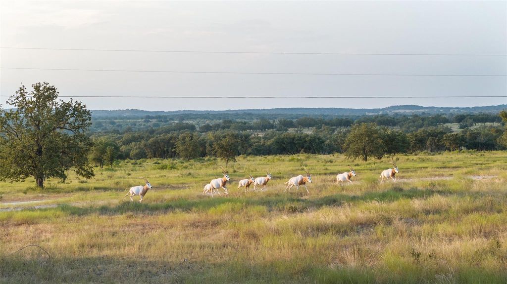 8577 Ranch Road 2766, Johnson City, TX 78636