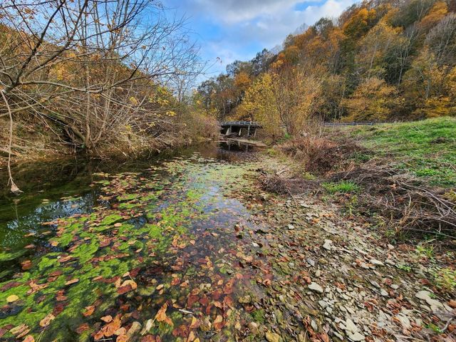 221 Pine Lick Estates Dr, Whitleyville, TN 38588