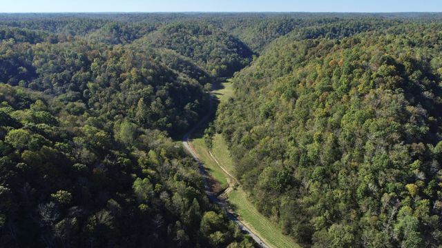 221 Pine Lick Estates Dr, Whitleyville, TN 38588