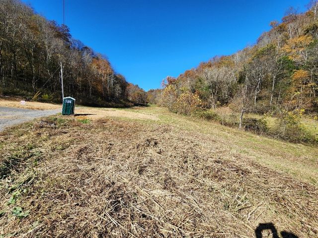 221 Pine Lick Estates Dr, Whitleyville, TN 38588