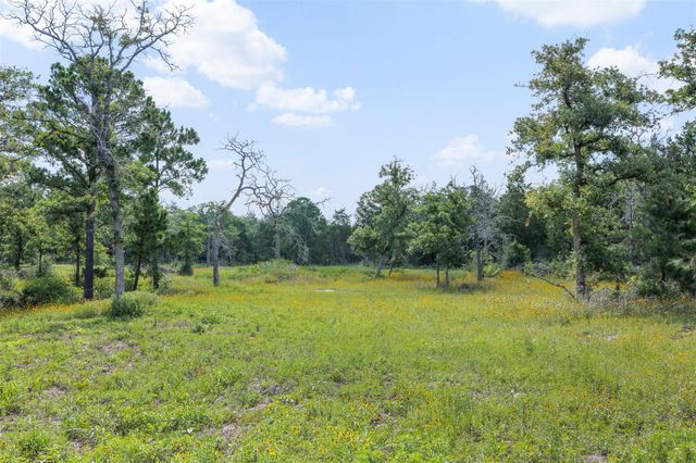 305 Cistern RD, Rosanky, TX 78953